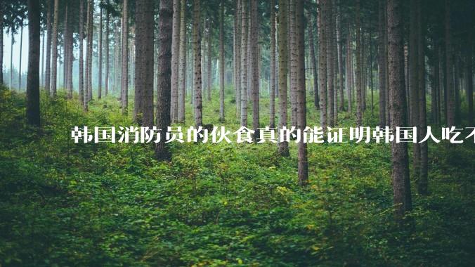 韩国消防员的伙食真的能证明韩国人吃不起肉吗？